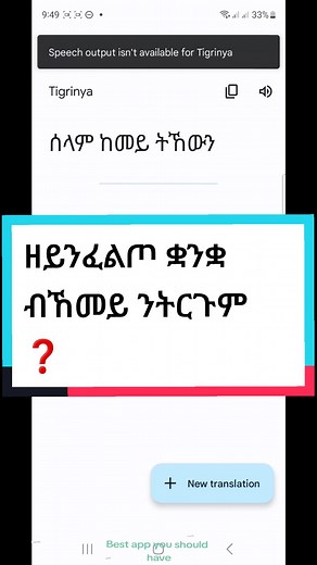 Best Google Translate App for Eritrean Users
