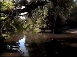 WTVS January 8, 1999 Promos #2