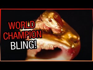 WOW! That's the World Champion Trophy for the WBF 2024