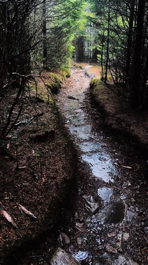#appalachia #graysonhighlands #mountrogers #hiking #backpacking