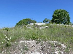 New London Gives $6.5 Million in Tax Breaks to Developer Planning to Build Housing on Land Condemned in the Kelo Case