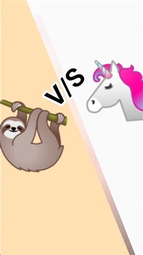 sloth vs unicorn😉😉