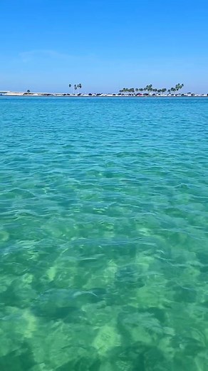 Views of Dunedin Causeway from Hurricane Pass sandbar. | Visit Dunedin Florida
