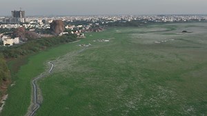 What Does Greenfield Mean in Business? A Simple Guide