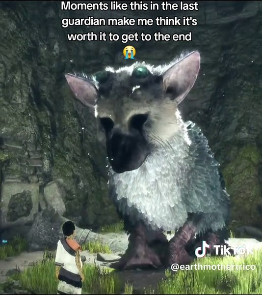 Heartwarming Moments in The Last Guardian