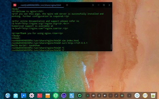 【教程】 如何在docker环境下的纯净ubuntu系统中安装最新版nginx