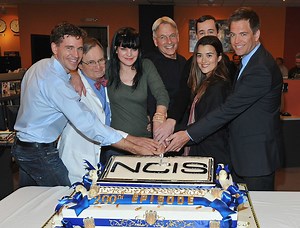 Why 1 'NCIS' Star's Education Made Her Perfect for the Show