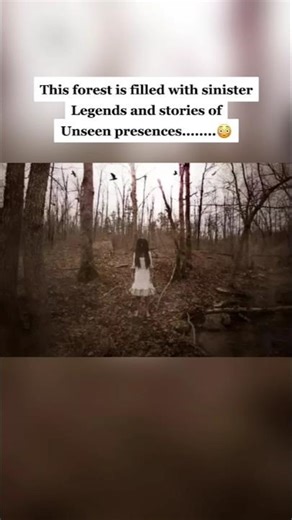 The Most Cursed Places in The World...☠😱 #shorts #shortsfeed #mystery