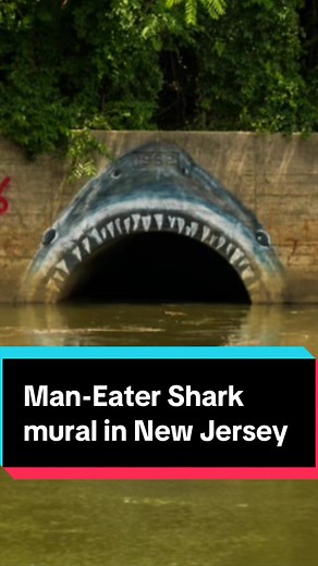 Matawan Man-Eater Shark Mural: Jaws Inspiration in NJ Tunnel