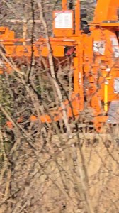 3 comments | This is what progress looks like - if you have an overgrown property and want it taken care of, we would love to help you reclaim it! We can get it ready for you to do routine maintenance on your own without damaging your property and keeping the remaining trees healthy! Trees are cool! Let us help manage your trees and property to promote value and retain your awesome trees(we love killing invasive trees) | Branch Out Tree Service TN | Facebook