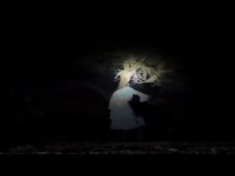 🔴 live bhoot on camera