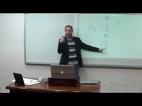 English Poetry Lecture 25 “a leaf falls” e e Cummings