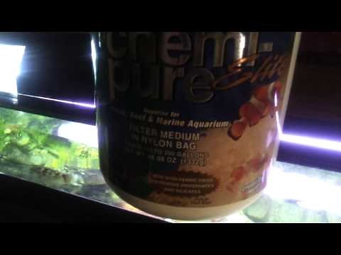 Seachem purigen vs chemipure elite pt1
