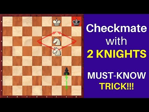 Is It Possible To Checkmate with 2 Knights?