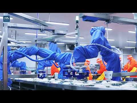 Flexiv's Automated Fish Fillet Shaping Solution with Rizon 4