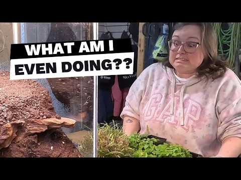 How I'm Building a Terrarium in a Fish Tank