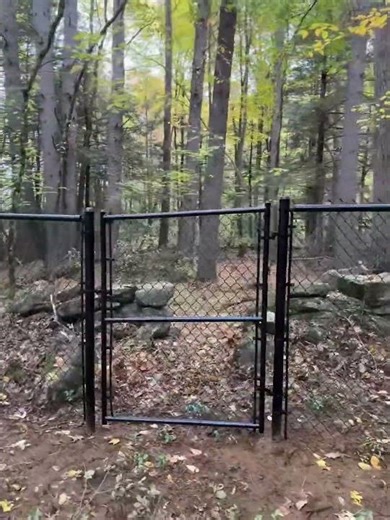 5FT Tall Black Chain Link, Installed in Rindge NH #fall #ultrafence