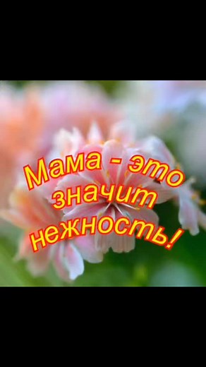 Поздравления с Днём Матери: Слова от Сердца