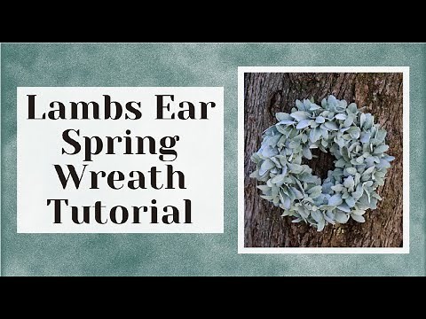 HOW TO MAKE A LAMBS EAR WREATH, LAMBS EAR WREATH TUTORIAL, LAMBS EAR WREATH, SPRING WREATH, EASTER