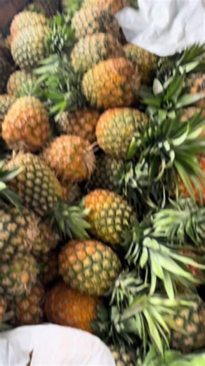 Making juice for a living #juiceforfunctions #freshjuice#juicebooth