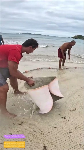 Rescuing the Ray: How Coastal Fishers Turn Bycatch Into Release