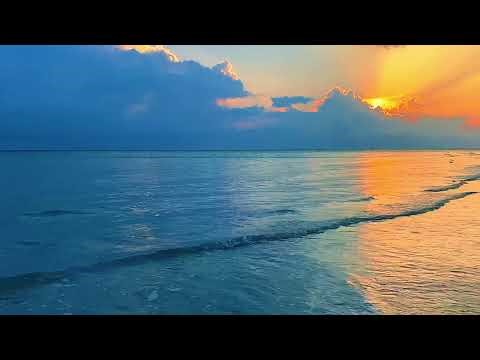 Tropical Beach Ambience ASMR | Soothing Ocean Sounds for Study, Relaxation, and Sleep