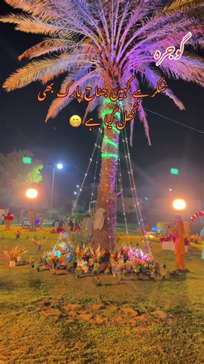 Exploring the Beauty of Gojra