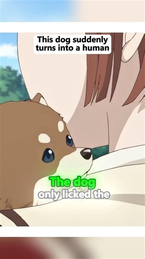 This dog suddenly turns into a human#anime #animeweeb #animememe #animeaddicts