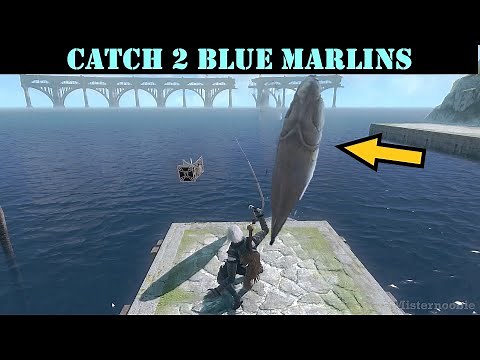 NieR Replicant - How to catch a BLUE MARLIN guide (Fisherman's Gambit Part 8)