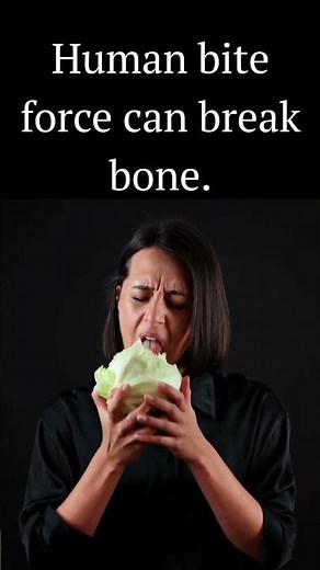 Human bite force can break bone