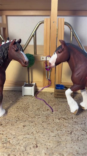 Sie erkannte ihren Wert – Schleich Pferd Mutmach-Video