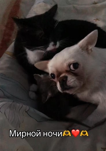 Natalia Bessonova on Reels