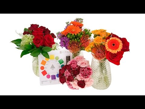 Basics of Color Theory