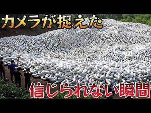 [Shocking] 15 Incredible Moments Captured on Camera! Footage that will make you doubt your eyes! ...