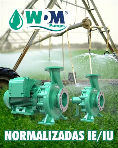 WDM PUMPS Brasil | A linha de bombas normalizadas WDM é formada pelos modelos IU (mancal ou base-luva) e IE (monobloco), desenvolvidos com motores WEG de até... | Instagram