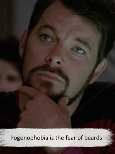 Pogonophobia is the fear of beards #pogonophobia #beard #beards #startrek #riker #commanderriker #didyouknow #fact #facts #coolfacts #trivia #info
