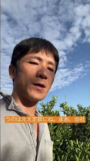 農業法人とは？農事組合法人 会社法人 農地所有適格法人 #農家 #農業法人 #三ヶ日みかん #みかん #japan #japanesefood #delicious #yammy #shorts
