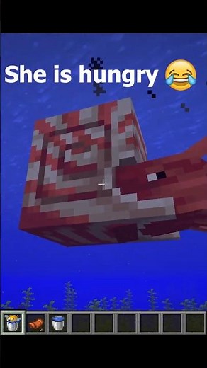 How To Obtain A Nautilus In Minecraft