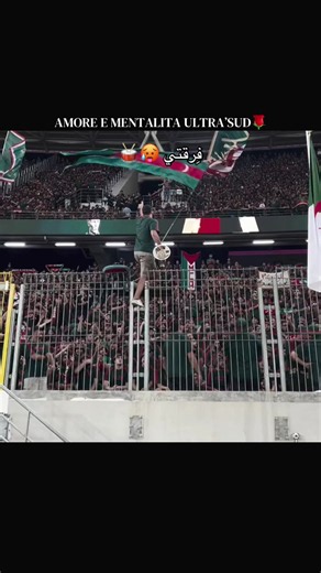 AMORE E MENTALITA ULTRA’SUD #mouloudia_virage_sud🇮🇹🙏 #حبوعقلية🌹 #مولودية🇧🇬🇧🇬_نعشق_فيهااا💚 #mouloudia_1921❤💚 #virage_sud_mouloudeen