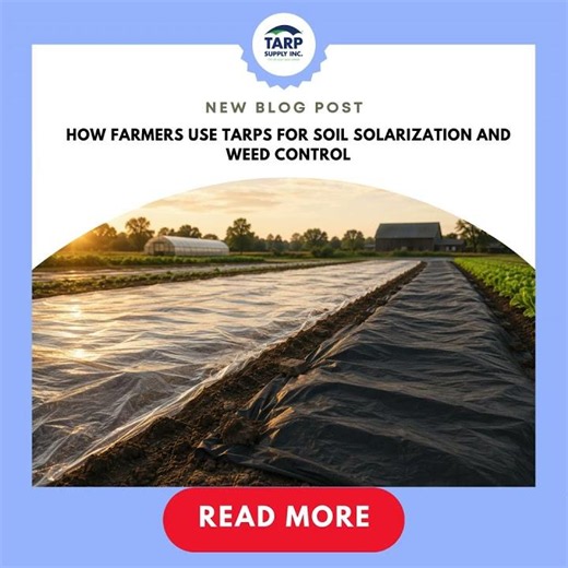 How Farmers Use Tarps for Soil Solarization and Weed Control