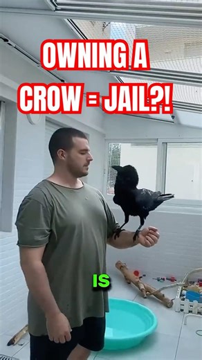 3 U.S. Animal Laws That Make ZERO Sense