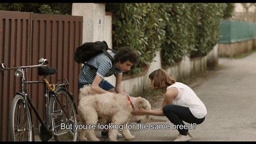 Short Skin Trailer (English Subtitles)