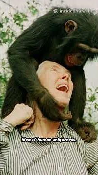Jane Goodall Dies, Iconic Conservationist Leaves Powerful Legacy on Primates & Earth