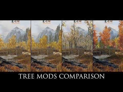 Skyrim SE Mods: Tree Mods Comparison ( Skyrim 3D Trees, SFO, EVT, Forests of Dibella )