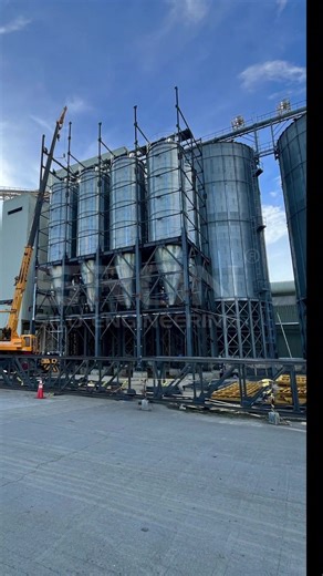 SRON's Steel Silo Project for Feed Storage in the Philippines