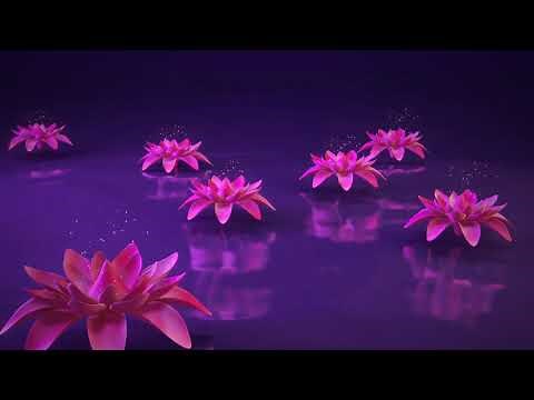 3D Lotus flower water reflection nature animated background video , Copyright FREE video