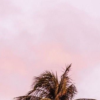 Jovana Jovic on Instagram