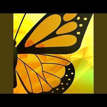 Promises you never kept