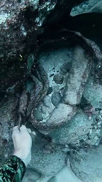 Diver Discovers Mysterious Bag