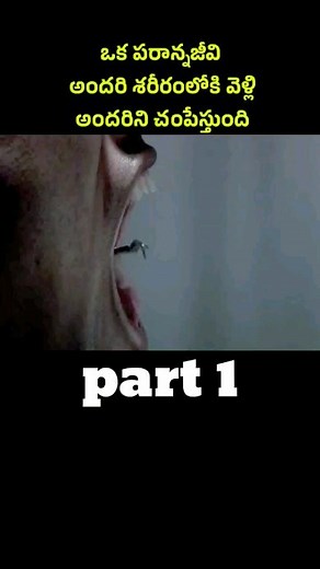 The Fact Story on Reels